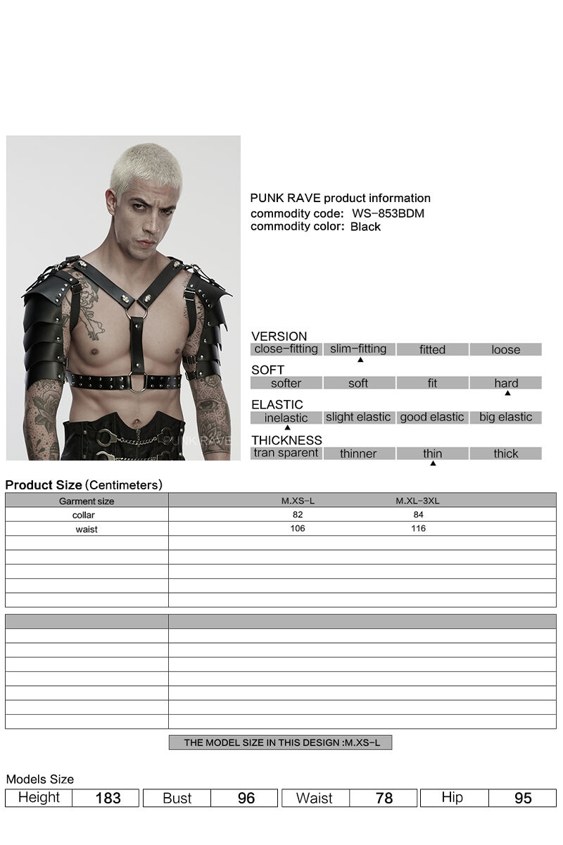 Punk Rave Harness Cyber Plate