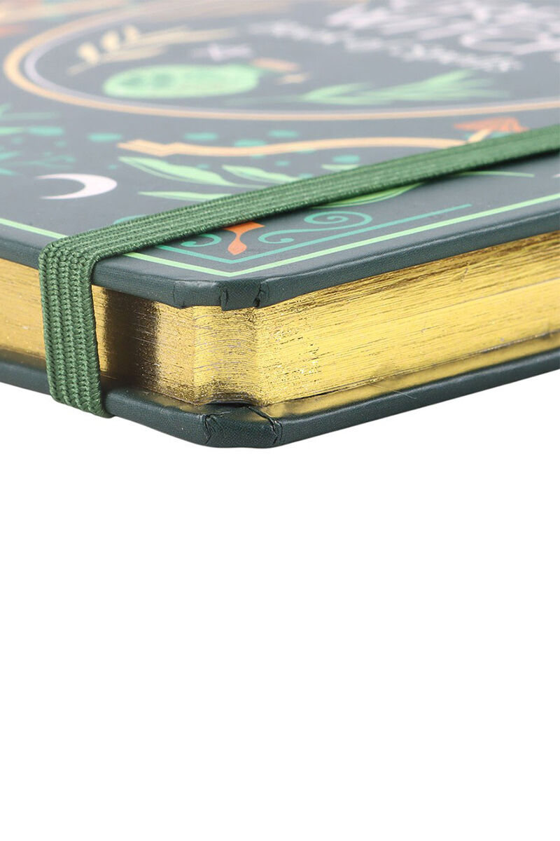 Spirit of Equinox Notizbuch Green Witch