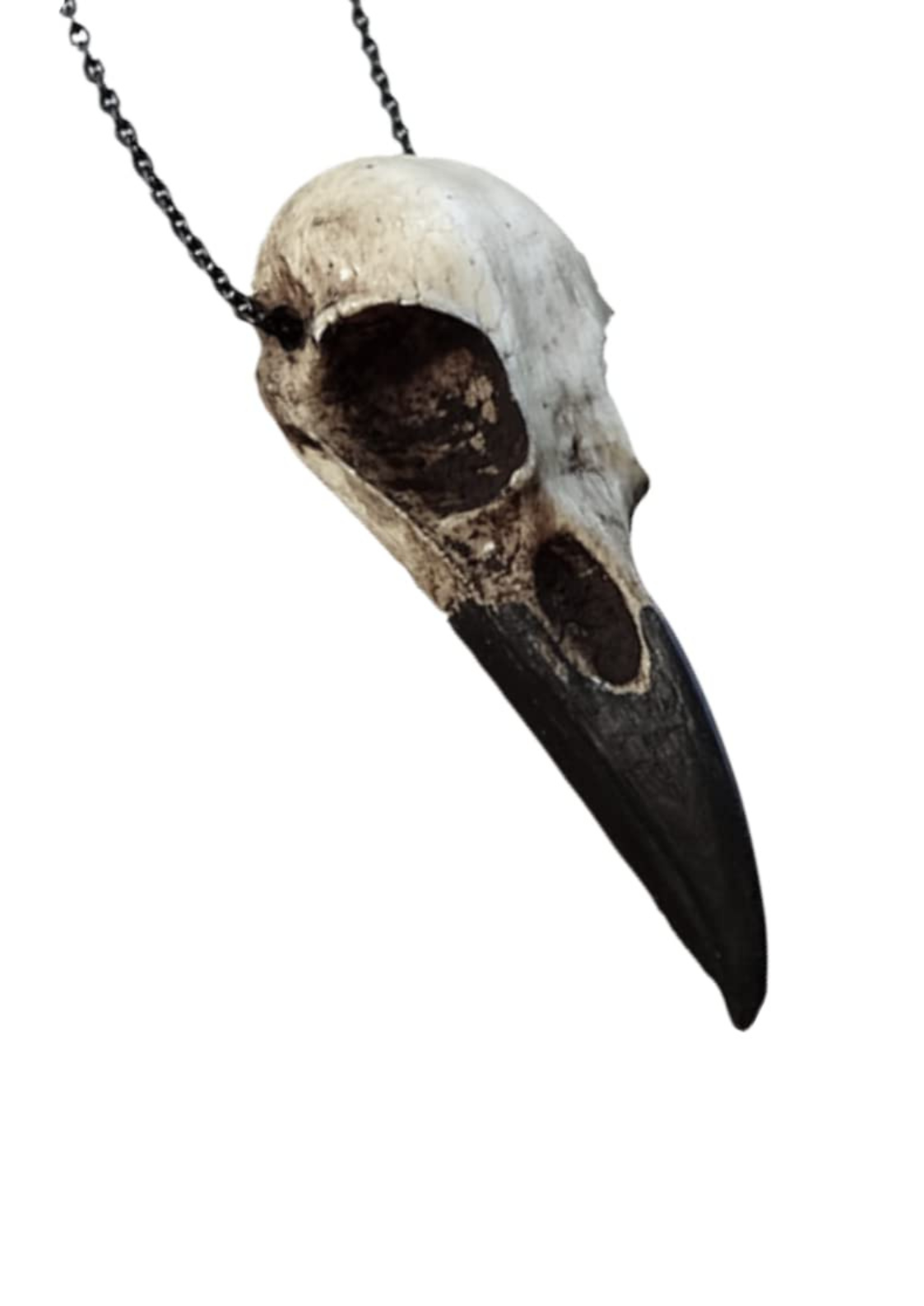 Easure Halskette Crow Skull