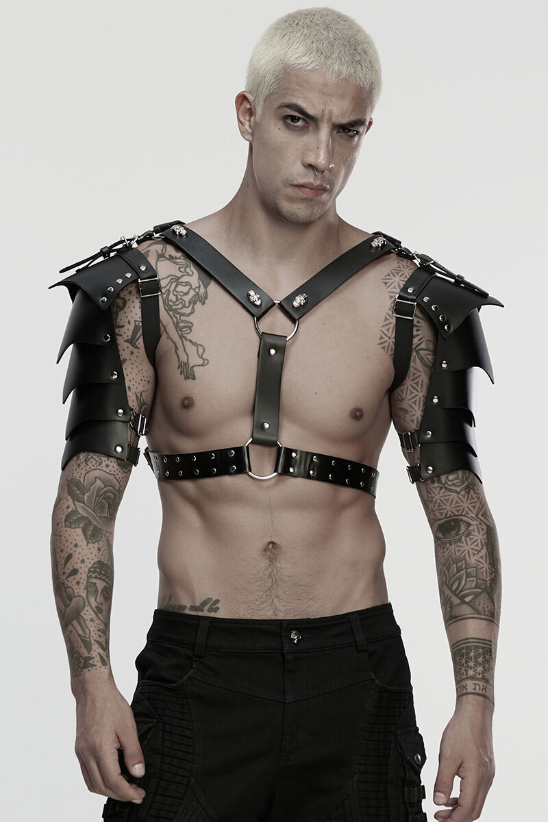 Punk Rave Harness Cyber Plate