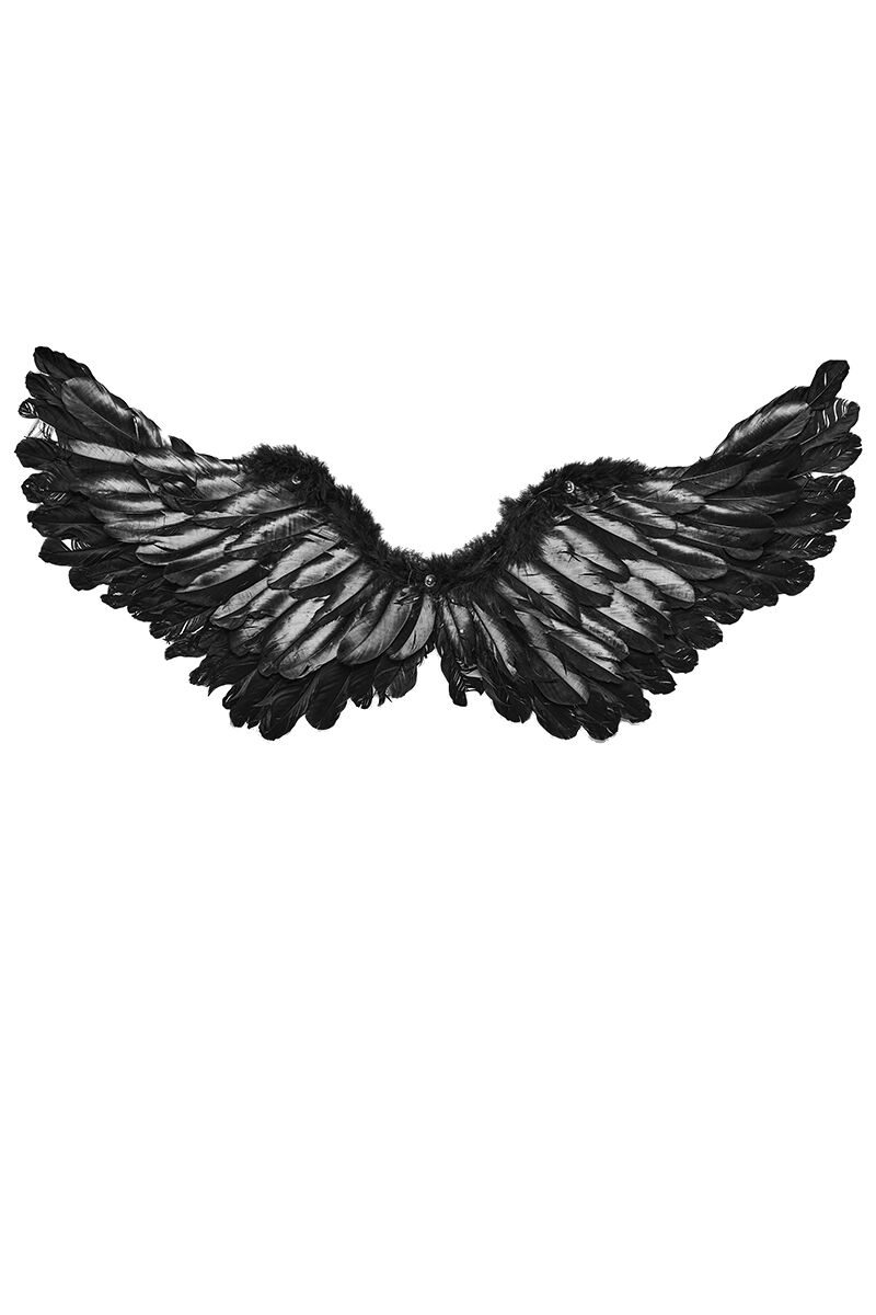 Punk Rave Harness Black Wings