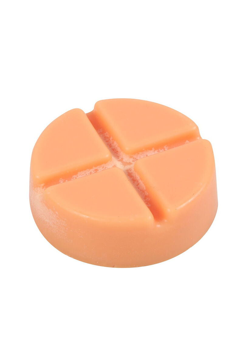 Elements Duftwachs Spiced Pumpkin Snap Disc